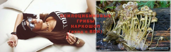 гашик Семёнов