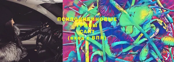 PSILOCYBIN Алзамай