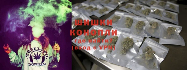 PSILOCYBIN Алзамай