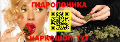 шишки Комсомольск-на-Амуре