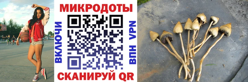 mega вход закладка Санкт-Петербург Галлюциногенные грибы MAGIC MUSHROOMS