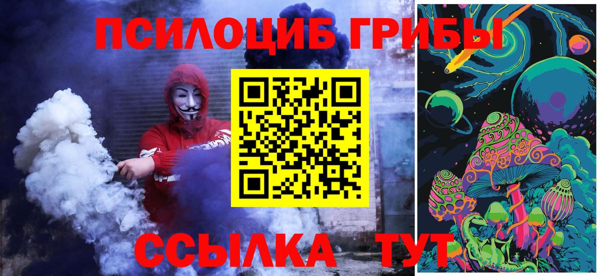 Галлюциногенные грибы Cubensis Санкт-Петербург
