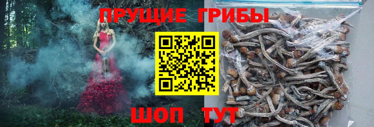 Псилоцибиновые грибы ЛСД  Галлюциногенные грибы Cubensis  Вход с VPN  Санкт-Петербург 