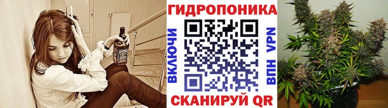 Конопля гибрид  shop как зайти  Санкт-Петербург 